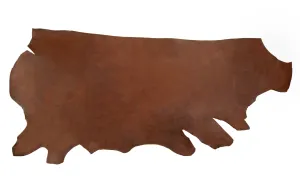 Chocolate Holster Strap Special
