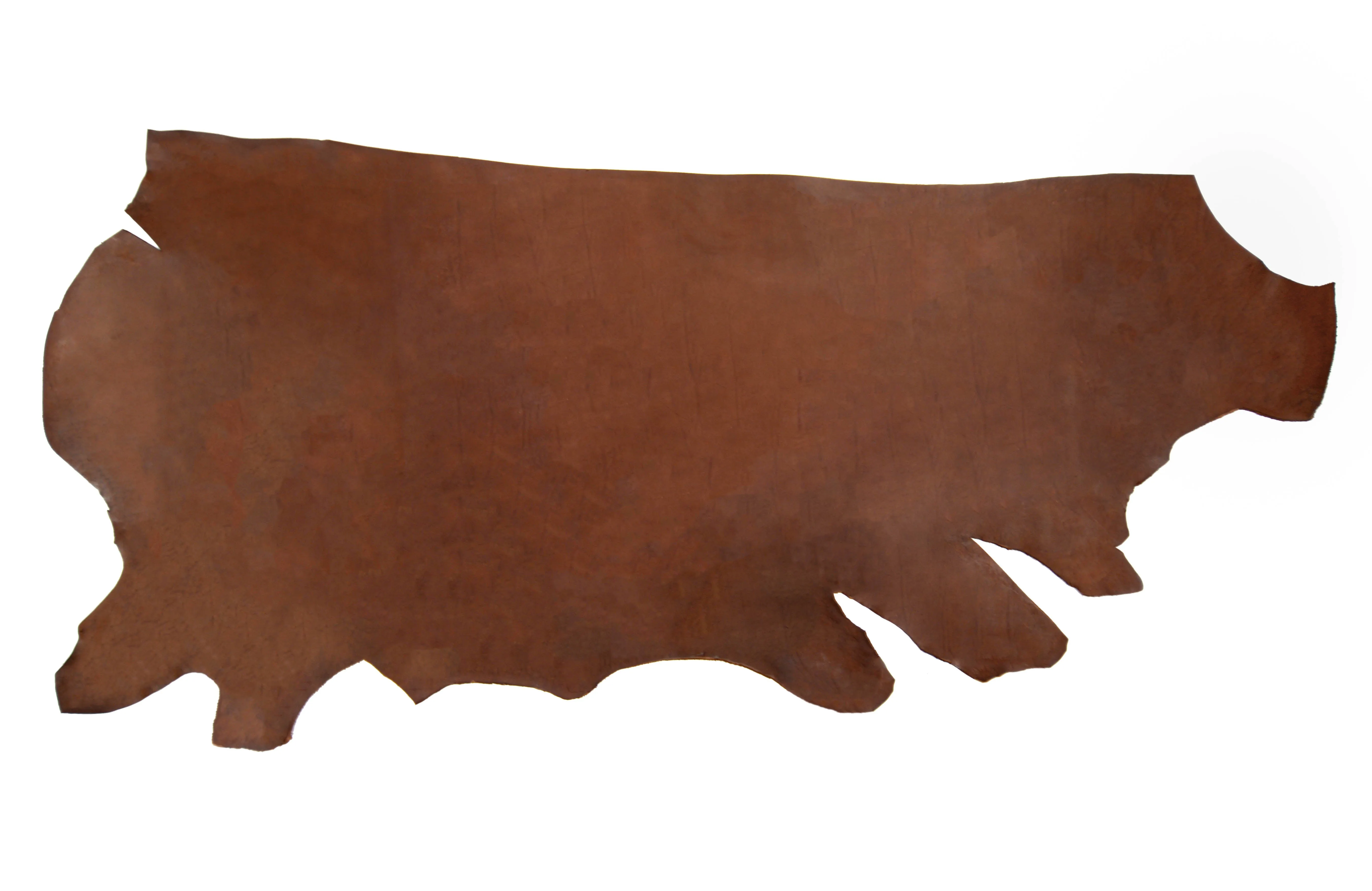 Chocolate Holster Strap Special
