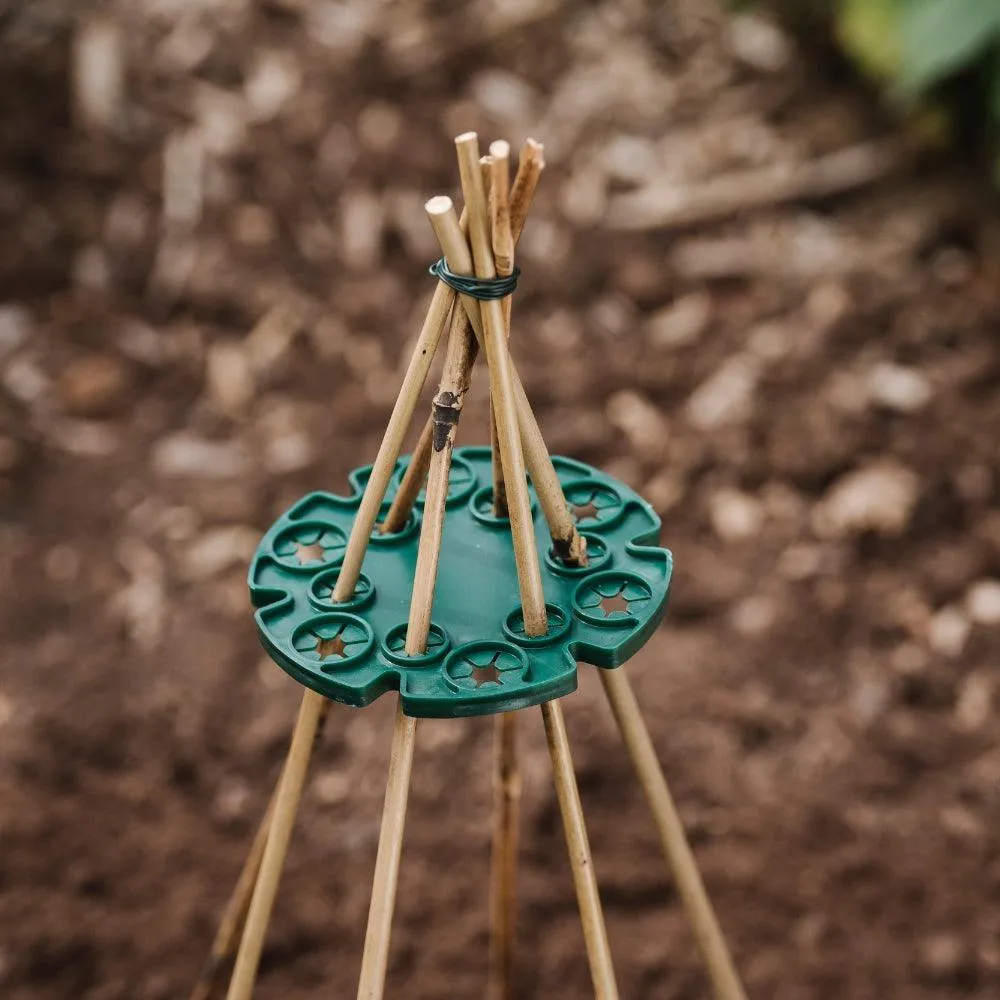 Grow It Bamboo Canes Bulk Bundle 240cm | Pack of 10