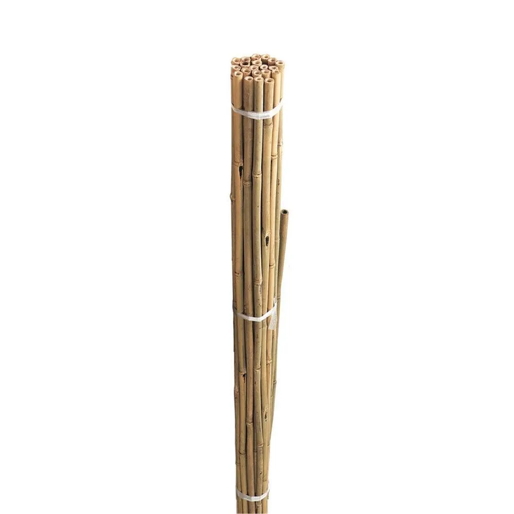 Grow It Bamboo Canes Bulk Bundle 240cm | Pack of 10