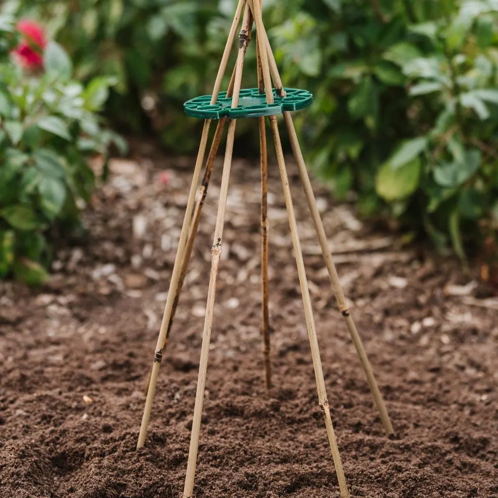 Grow It Bamboo Canes Bulk Bundle 240cm | Pack of 10