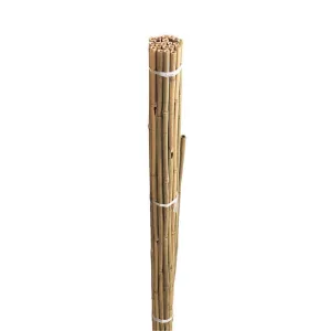 Grow It Bamboo Canes Bulk Bundle 240cm | Pack of 10