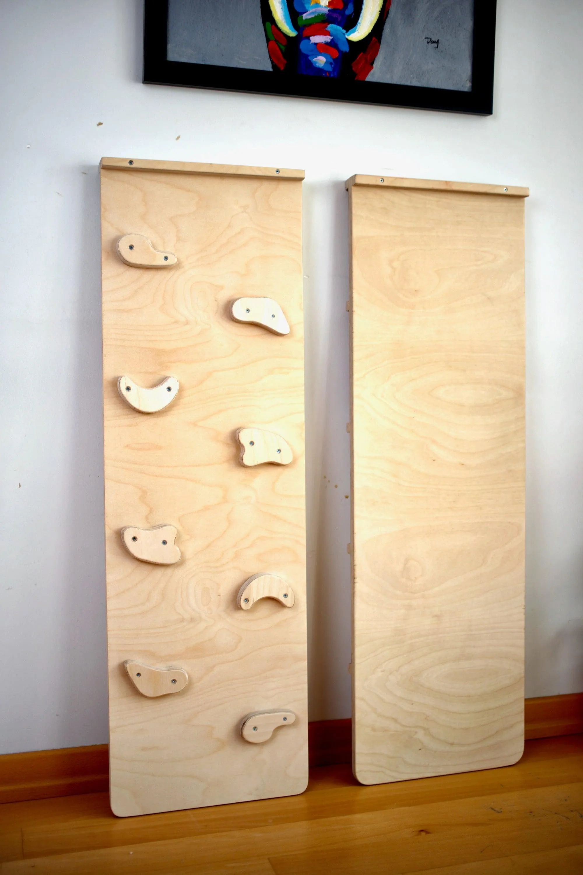 Reversible Rockwall Climbing wall for kids