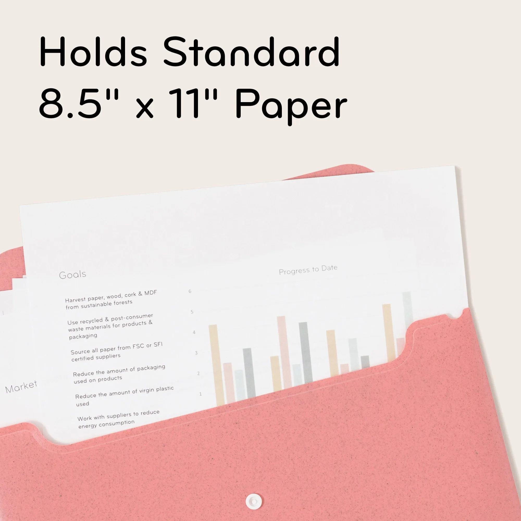 Speckled Bright Poly Document Holders, 10 CT Assorted Colors